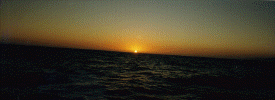 sea-sunset.3.gif (185237 bytes)